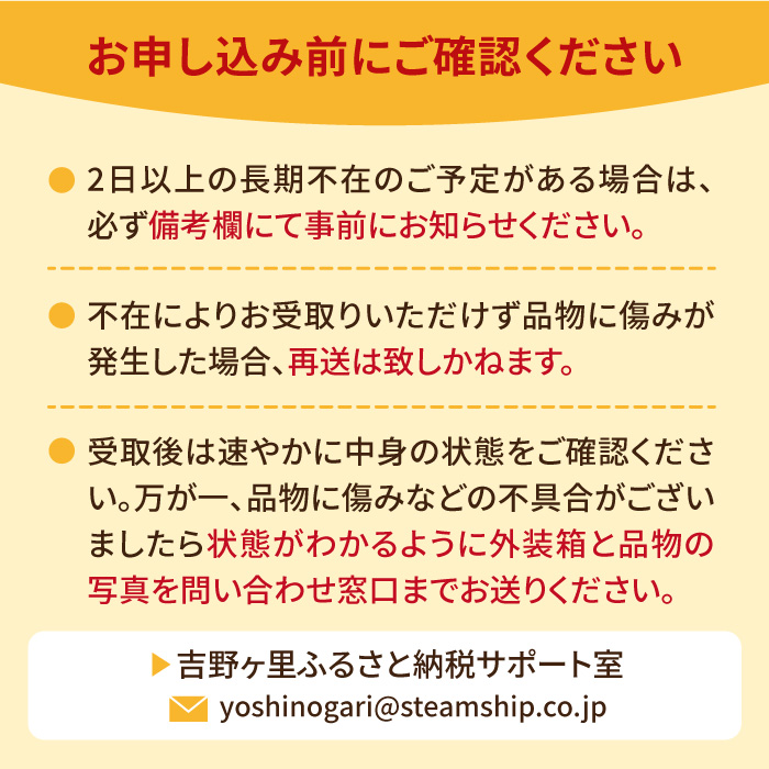 【1月中旬〜3月中旬発送】みずみずしい果肉！さがほのか平パック4P 約1kg いちご 佐賀県産 佐賀県 イチゴ パック 吉野ヶ里町/リエンサーク [FCC002]