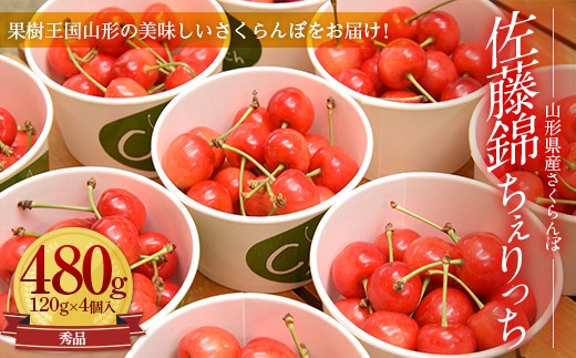 
                  【2027年先行予約】山形県産さくらんぼ佐藤錦 秀品 L玉以上 ちぇりっち 120g × 4個入 FSY-0010
                