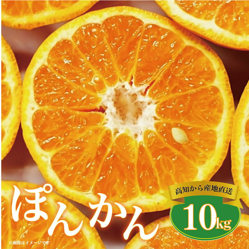 【ふるさと納税】 ポンカン 10kg 高知県 産 ( ご 家庭用 ) ぽんかん みかん 柑橘 蜜柑 ミカン 果物 フルーツ 国産 植田農園 高知 高知県 黒潮町