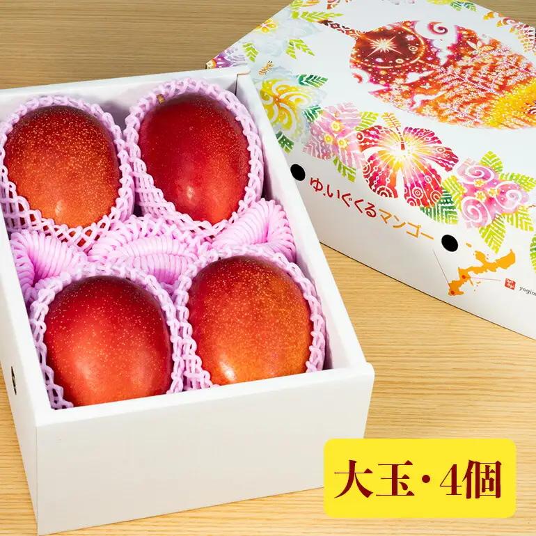 【 先行予約 2027年 発送 】 沖縄県 糸満産の「 濃厚 アップルマンゴー 」2kg オリジナル 贈答用 化粧箱入り 沖縄県産 マンゴー 完熟マンゴー 果物 くだもの フルーツ 完熟 夏 旬 沖縄