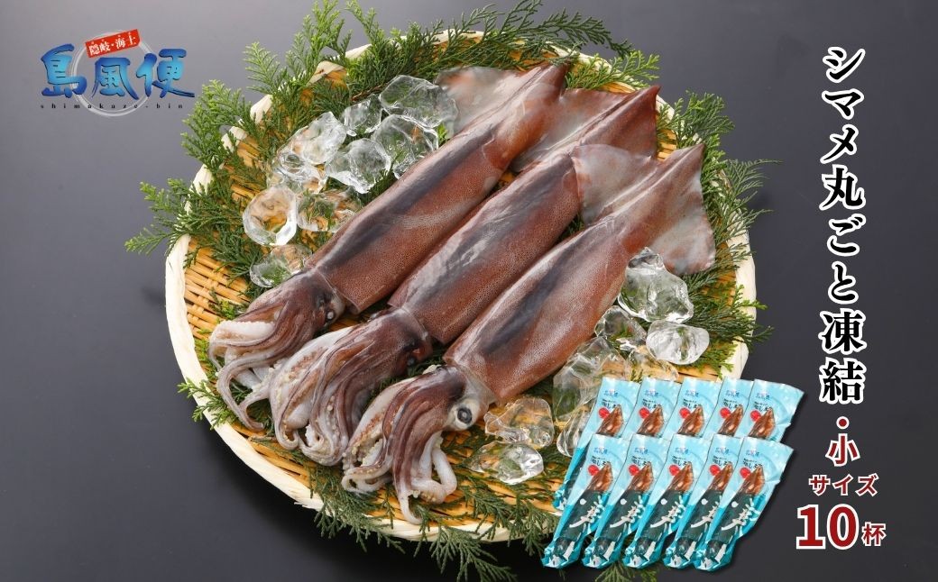 
                  【お徳用】【小10杯】【胴だけで18cm前後】シマメ丸ごと凍結1.3kg【1杯130ｇ】スルメイカ 烏賊 お刺身 おつまみ いかそうめん 冷凍 国産 肝 うり いかわた 塩辛 島根 隠岐
                