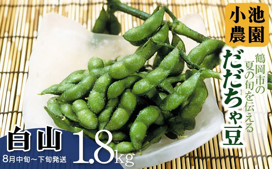 【令和8年産先行予約】【鶴岡の夏の旬を伝える】 小池農園のだだちゃ豆 【白山】 1.8kg（600g×3袋）　k-832