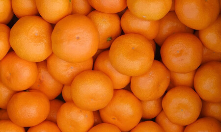 ［先行予約］［訳あり］冬採れみかん（中生みかん）S〜Lサイズ混合 10kg＋500g（傷み補償分）［2025年11月下旬より発送］