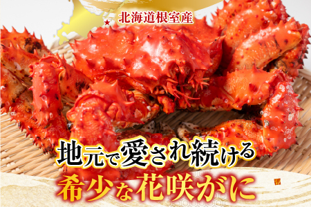 【北海道根室産】花咲かに500g前後～650g前後×3尾 B-30002