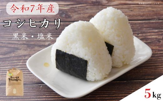 《 令和7年産 》黒米・塩米（コシヒカリ）約5kg ／ お米 米 精米 白米 コシヒカリ こしひかり 5kg 新米 令和7年 千葉県