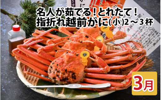 【先行予約】名人が茹でる とれたて指折れ越前がに(小) 2～3杯【3月発送分】 [C-4352_03]
