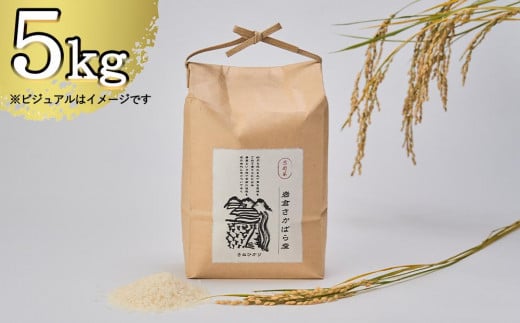 【京都岩倉坂原米作りプロジェクト】〈新米〉京都岩倉さかばら産 きぬひかり(5kg)［ 京都 グルメ おいしい 人気 おすすめ 米 コメ ギフト プレゼント 贈答 お取り寄せ 通販 送料無料 ふるさと納税 ］