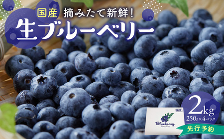 【2026年発送】 先行予約 木津川市産ブルーベリー2kg 生ブルーベリー 新鮮 国産 果物 小分け 080-03