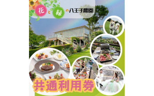 展望レストラン・BBQ・愛犬とお食事が大人気!【共通利用券 3000円】 花と緑の八王子農園【1409154】