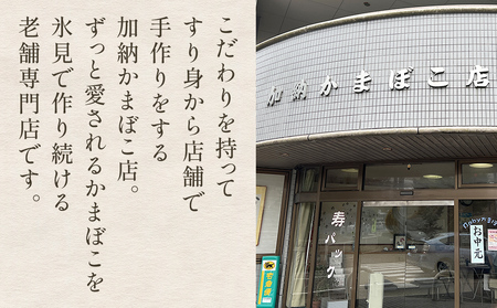 ＜3ヶ月定期便＞加納かまぼこ5種セット 富山県 氷見市 定期便 蒲鉾 詰め合わせ セット 食べ比べ