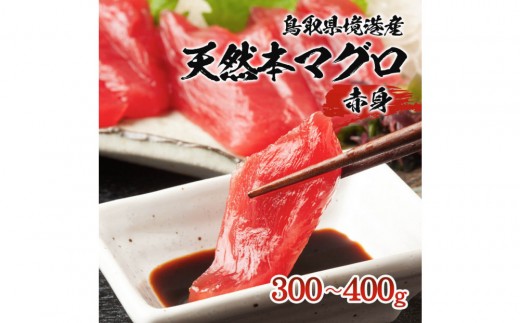 
                  天然本マグロ(黒マグロ)　赤身300～400g | 本マグロ クロマグロ 黒マグロ 天然マグロ マグロ まぐろ 刺身用 サク 柵 海鮮 魚介 魚介類 赤身 高級魚 贅沢食材 刺身 海鮮丼 寿司用 家庭用   お取り寄せ グルメ 人気 おすすめ 国産 鳥取県 境港市
                
