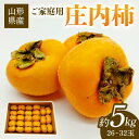 【ふるさと納税】【2025年発送 先行予約】ご家庭用 庄内柿 約5kg(26～32玉) 柿 かき デザート フルーツ 果物 くだもの 果実 食品 山形県 FSY-1021