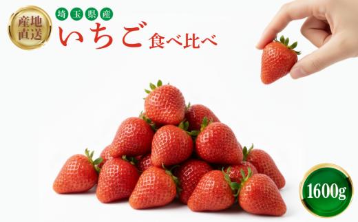 【埼玉いちご】 いちご 食べ比べ 予約受付 1600g 紅ほっぺ かおり野 よつぼし 恋みのり おいCベリー 苺 イチゴ ストロベリー strawberry ichigo 埼玉県産 果物 くだもの フルーツ フルーツいちご itigo げんき農場 埼玉県 羽生市
