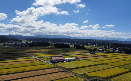 【令和5年産定期便】魚沼産コシヒカリ　【定期便】精米5kg×3回