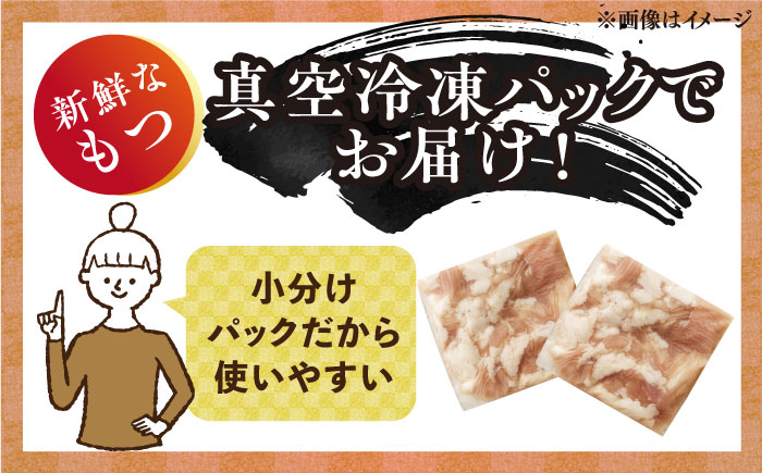 【ランキング１位受賞！】 博多 明太 もつ鍋 セット 10人前《築上町》【株式会社MEAT PLUS】 [ABBP011] 17000円  17000円 