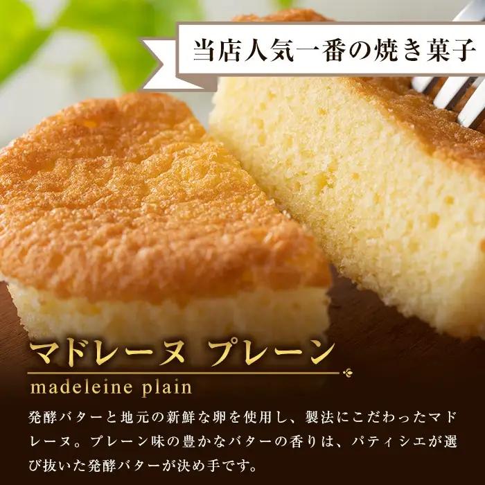 マドレーヌ 16個 2種 食べ比べ マドレーヌ【00-012-01】