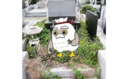 個人墓地の清掃サービス(藤沢市営大庭台墓園普通墓地のみ) 藤沢市まちづくり協会 神奈川 湘南 藤沢