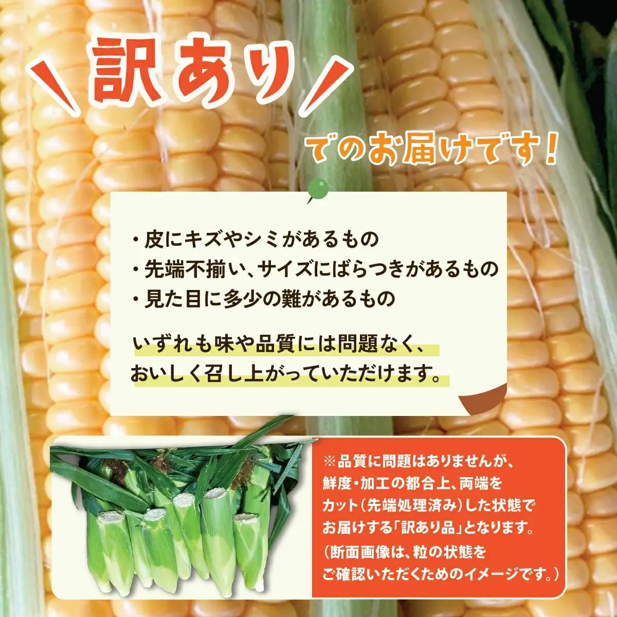 とうもろこし ミエルコーン 約6kg 茨城県産 トウモロコシ 訳あり
