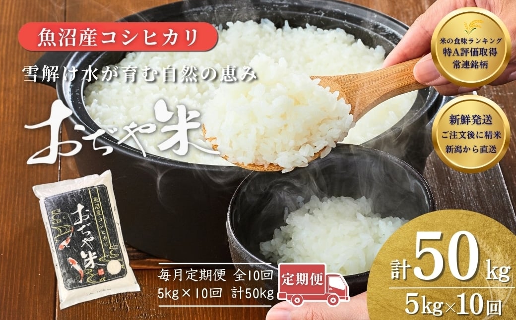 
            【10か月定期便 注文後に精米する新鮮発送！】 令和7年産 新潟県 魚沼産コシヒカリ「おぢや米」合計50kg(5kg×1袋×毎月お届け全10回) 徹底した品質管理でお届け！ 新潟産コシヒカリ JA魚沼 特A評価 魚沼産 | おぢや米 新潟県産コシヒカリ お米 米 こしひかり 白米 精米 ブランド米 特A評価【0002-JA11DB00-01】
          