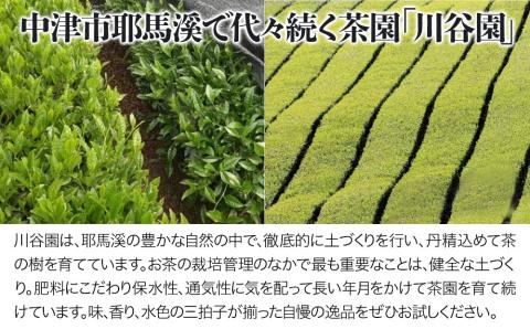 お茶の川谷園 茶聖の極上深蒸し茶 翠 みどり ギフトセット 100g×3袋 お茶 緑茶 日本茶 上深蒸し茶 煎茶 大分県 中津市 熨斗対応