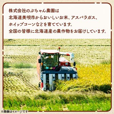 ふるさと納税 美唄市 【北海道美唄産】令和7年産 ゆめぴりか 10kg 新米(精米) |  | 02