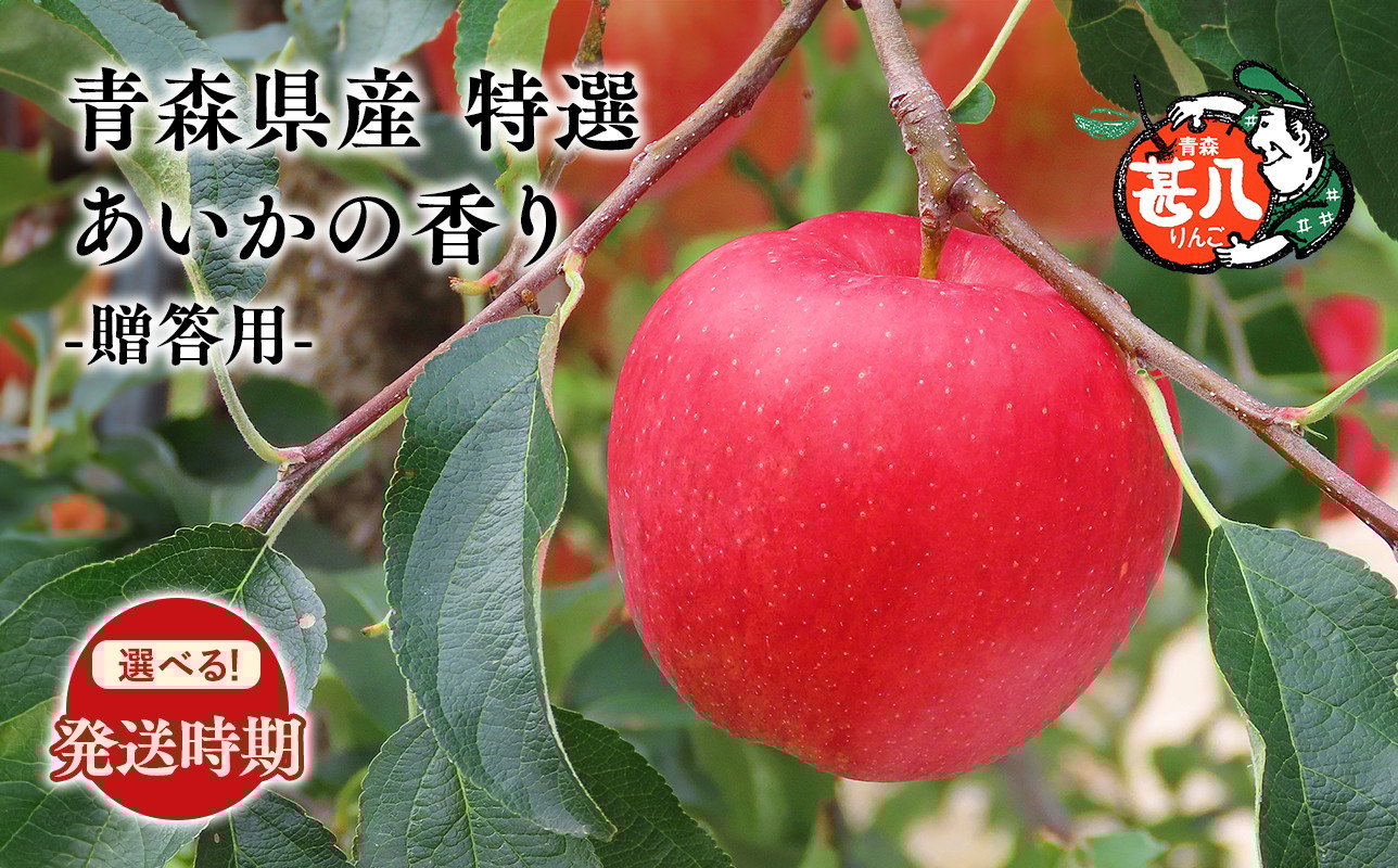 
            ≪選べる配送月≫１１～１２月発送　特選　甚八りんごあいかの香り３kg　【青森県 平川市 マルジンサンアップル】１１～１２月発送 青森 青森県産 平川 りんご リンゴ 林檎 くだもの 果物 フルーツ 
          
