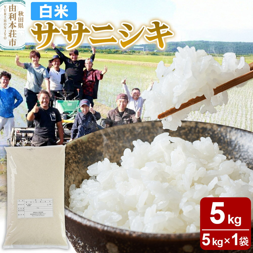 【ふるさと納税】【白米】秋田県由利本荘市産 ササニシキ 5kg（5kg×1袋）令和6年産