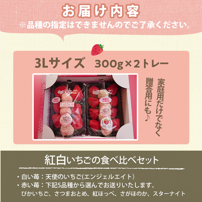 No.1162 <先行予約受付中!>紅白いちごの食べ比べセット(計600g・300g×2トレー) 国産 九州産 鹿児島 日置市 生鮮食品 苺 イチゴ 果物 フルーツ 大粒 食べ比べ【ままりあ農園】
