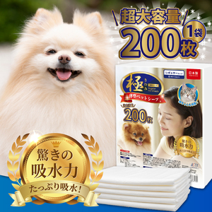 定期便 全12回 ペットシーツ 【極】シリーズ 薄型レギュラー 200枚 ペット用 犬用 猫用 トイレシーツ 日用品 ペット用品 防災 備蓄 消耗品 ドッグ キャット わんちゃん ねこちゃん 静岡県 