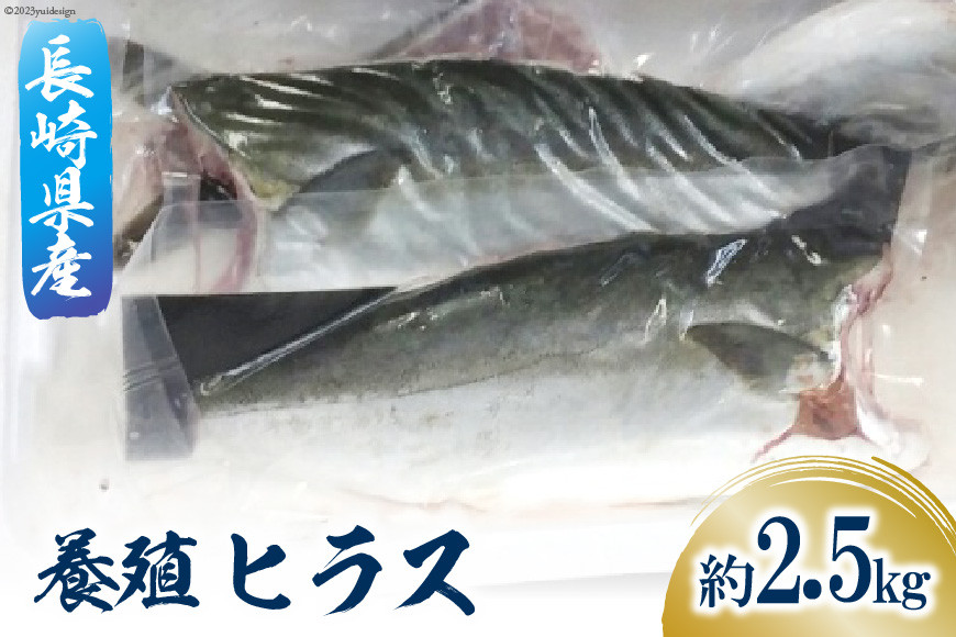 
ヒラスのフィーレ 一本

