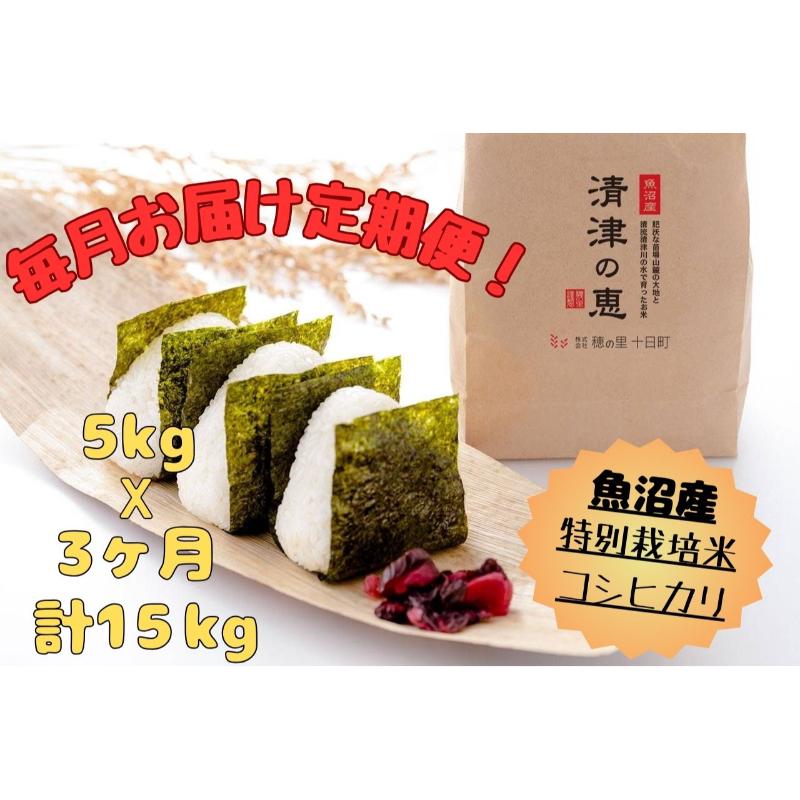 【ふるさと納税】【通年受付】魚沼産特別栽培米コシヒカリ［清津の恵］精米5kg　全3回 十日町市 十日町 米　お届け：2025年10月上旬以降、ご入金確認後順次配送予定。