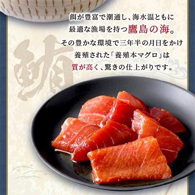 ふるさと納税 松浦市 特製醤油に漬け込んだ鷹島本まぐろ漬け3人前 |  | 01