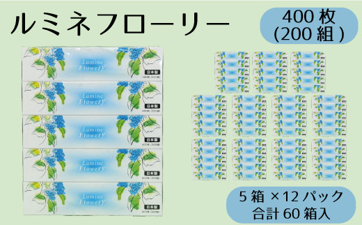【通常発送】 ティッシュ ボックスティッシュ 60箱 200組 5個 ×12パック ルミネフローリー やわらか 高品質 ティッシュペーパー バラ 花柄 デザインボックス 日用品 備蓄 防災 送料無料 愛媛県 【四国中央市 紙のまち】