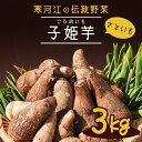 【ふるさと納税】やまがた伝統野菜 「子姫芋（里芋）」3kg 《土付き》 山形県産 【2024年10月下旬頃から順次発送予定】／ お取り寄せ 特産 名産 産地直送 野菜 旬 さといも 山形産 新鮮 こだわり 煮込み料理 国産 ブランド 根菜 3キロ 2024年産 令和6年産