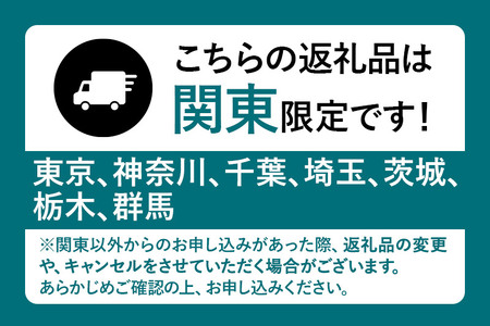 《2025年1月以降発送》関東限定配送 イチゴ よつぼし 約260gパック×4