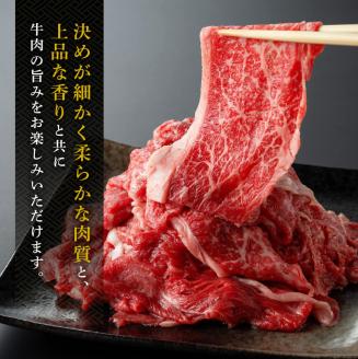 宮崎県産 黒毛和牛 切り落とし 600g　牛肉[E11009]