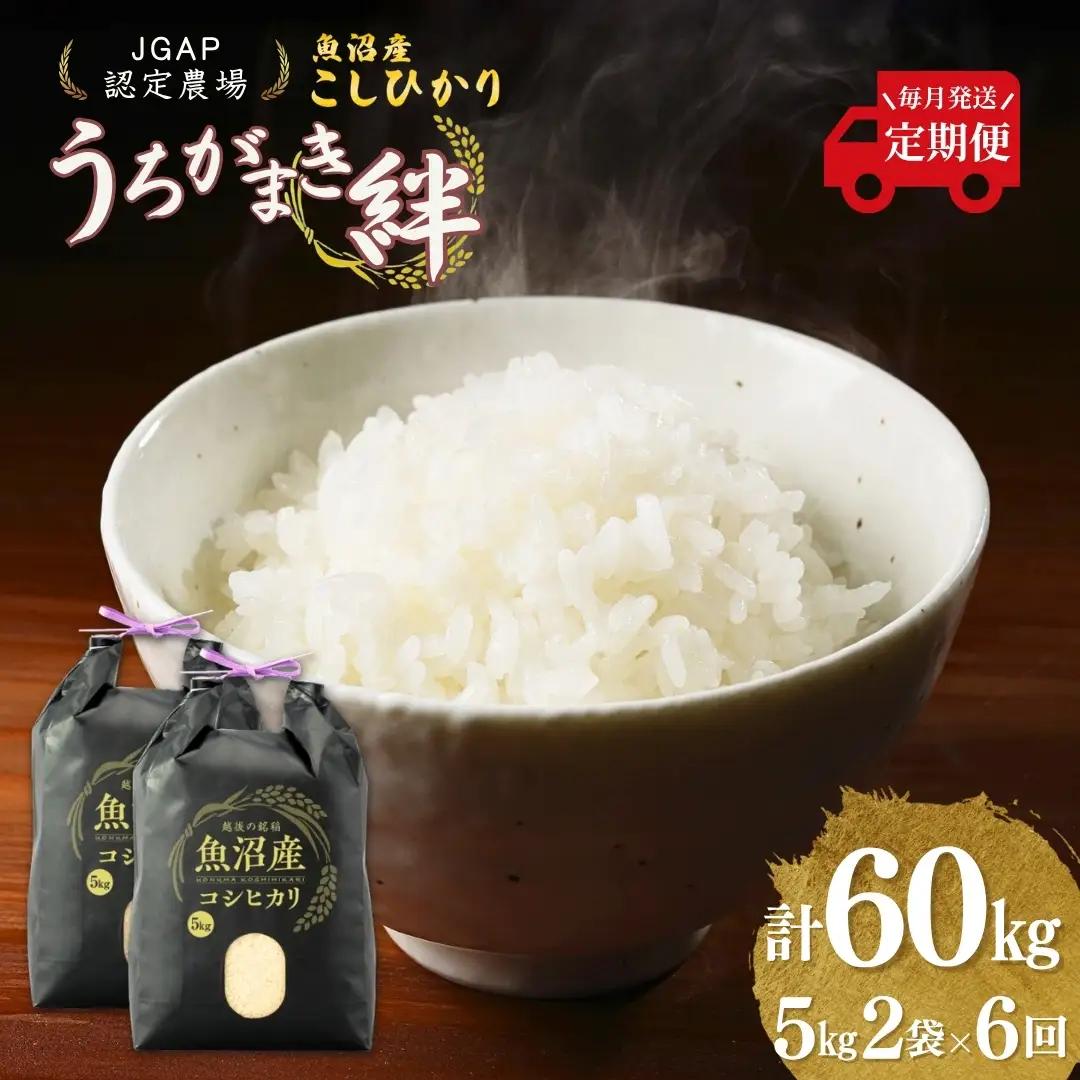 令和8年産 魚沼産コシヒカリ 定期便 計60kg（5kg2袋×毎月全6回） うちがまき絆 | 魚沼産 こしひかり