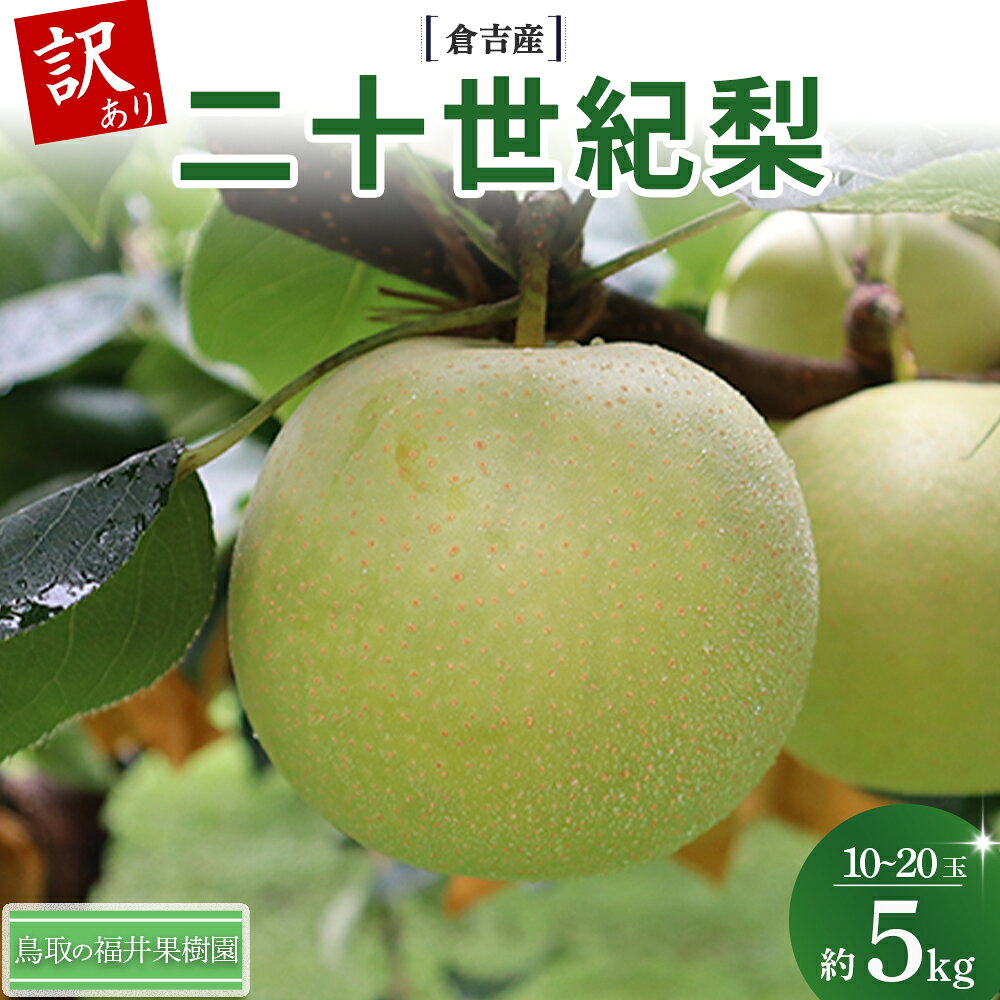 【ふるさと納税】【訳あり】【期間限定】令和8年産 二十世紀梨 5kg（10～20玉） 倉吉産 福井果樹園 二十世紀梨 20世紀梨 梨 なし ナシ ブランド梨 果物 フルーツ 先行予約 和梨 数量限定