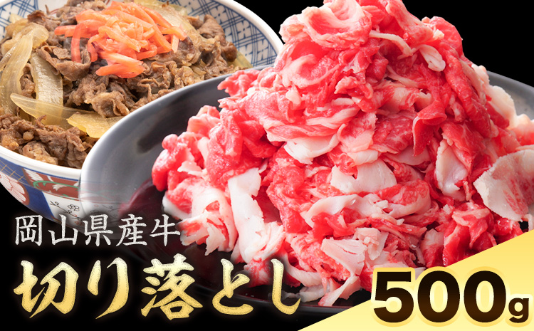 岡山県産牛 切り落とし 交雑牛 500g お試し 大容量《60日以内に出荷予定(土日祝除く)》 岡山県 笠岡市 肉 送料無料