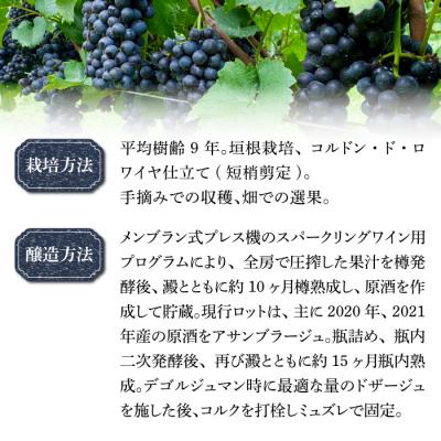 ふるさと納税 東御市 【ぼんじゅーる農園醸造所】ミノワ ブラン・ド・ノワール ブリュット 1 本 |  | 02