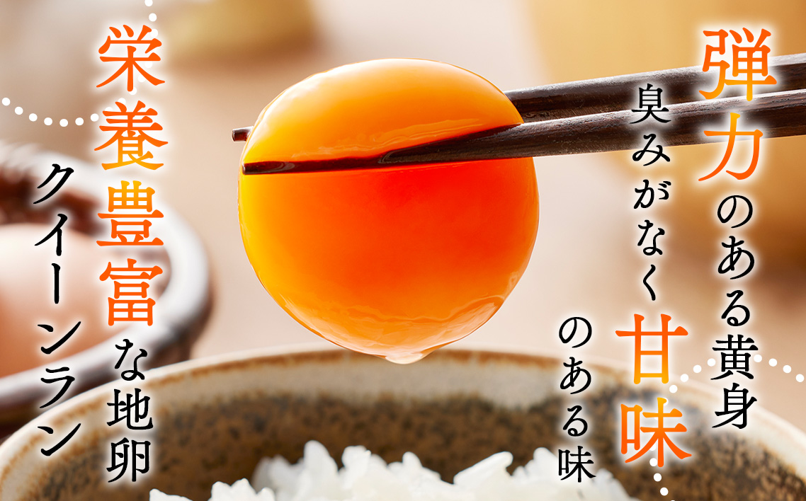黄身がつかめる新鮮地たまごクイーンラン 赤玉50個入《定期便3ヶ月》
