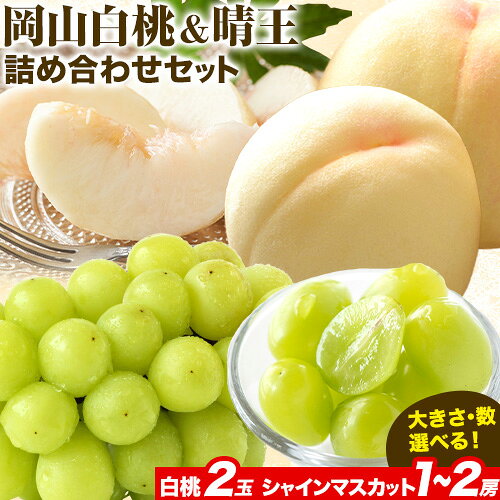 【ふるさと納税】【先行予約】岡山白桃 & シャインマスカット（晴王）セット 選べる サイズ 数【配送不可地域あり】 《7月上旬-8月中旬頃に出荷予定(土日祝除く)》 岡山県 矢掛町 桃 白桃 もも 岡山白桃 シャインマスカット マスカット ぶどう 晴王