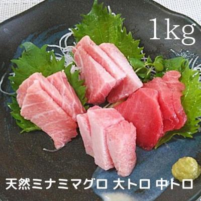 ふるさと納税 焼津市 天然ミナミマグロ 大トロ 中トロブロック 約1kg(a30-158) |  | 02