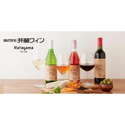 ふるさと納税 川崎市 井筒ワイン 酸化防止剤不使用 井筒 コンコード 赤中口 720ml × 2本 |  | 03