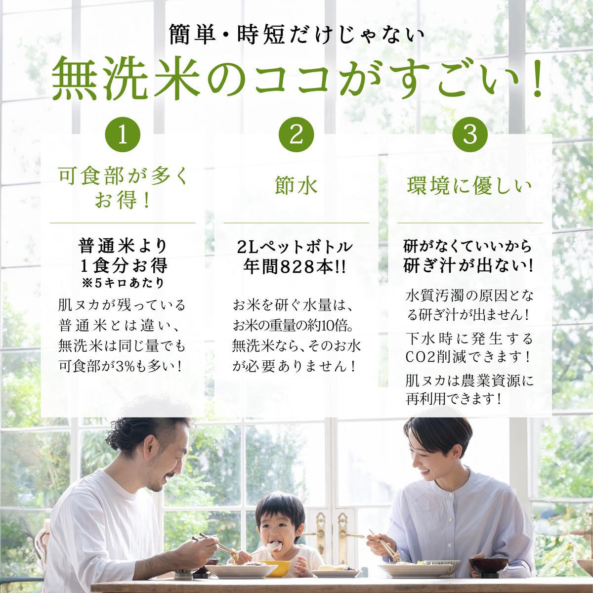 無洗米新潟産コシヒカリセット 5kg 産地直送