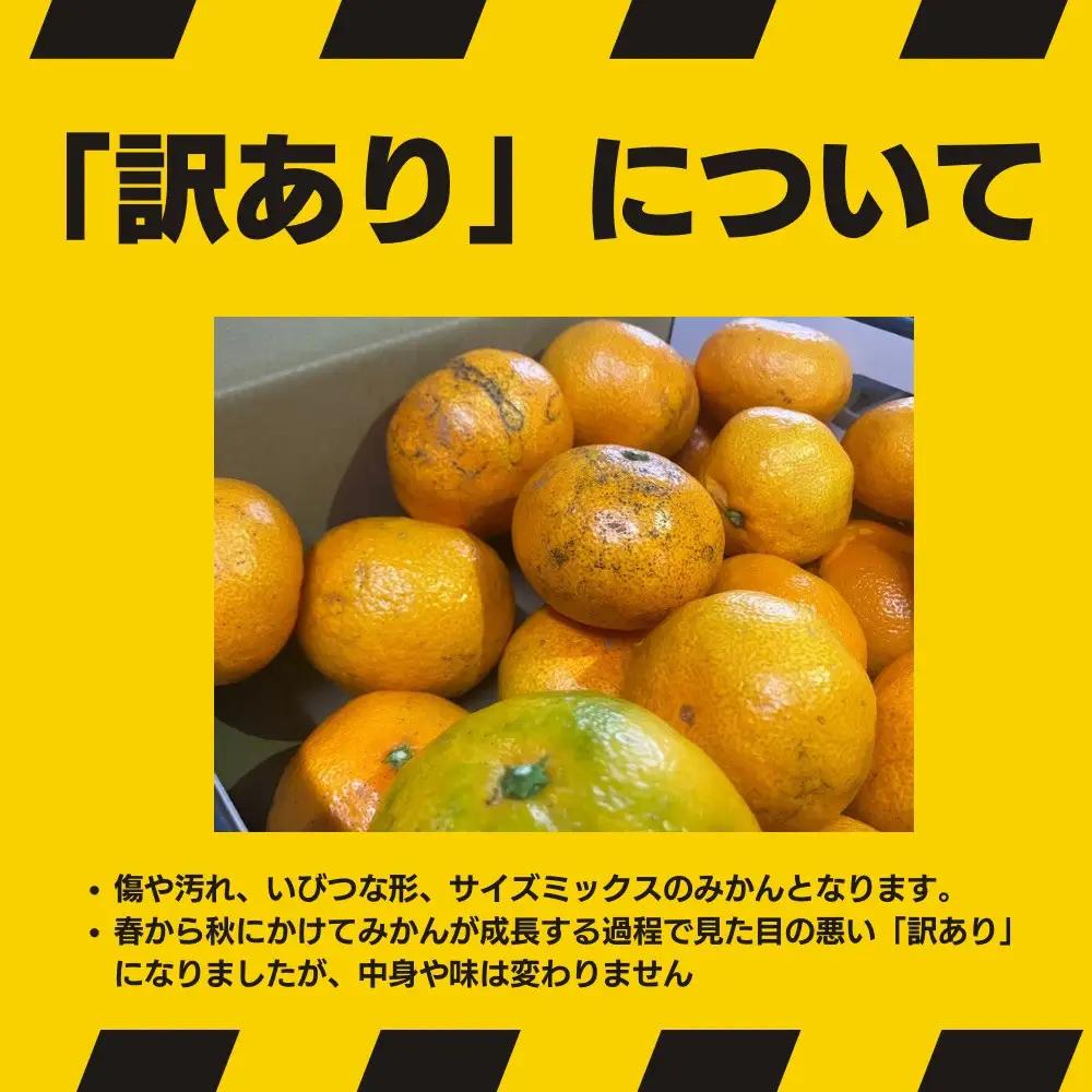 有田みかん 約3kg みかん 家庭用 訳あり