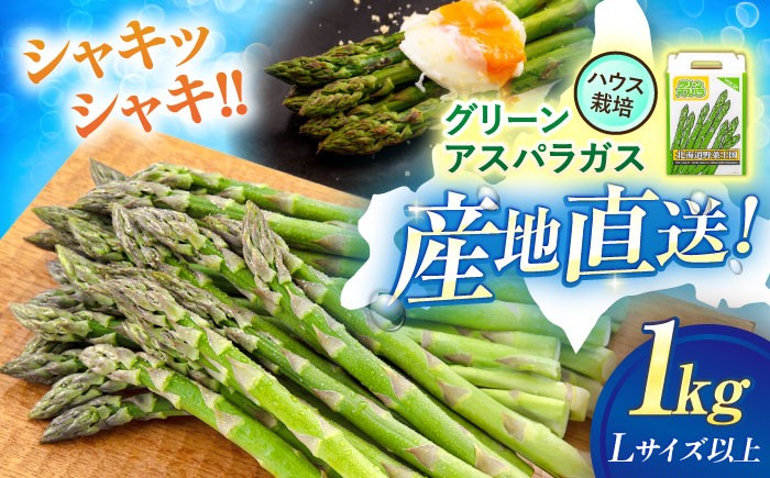 
            【2026年4月上旬以降順次発送】 グリーンアスパラガス 1kg（L以上/ハウス栽培）《喜茂別町》【久保田農園】アスパラ アスパラガス グリーンアスパラ 冷蔵 冷蔵配送 野菜 春野菜 [AJAM011] 15000 15000円
          