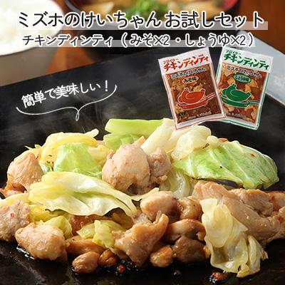 ふるさと納税 下呂市 ミズホのケイちゃんお試しセット チキンディンティ(みそ×2 しょうゆ×2)【21-2】