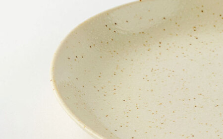 【美濃焼】ナチュラル パスタ皿 5枚セット【山正各務陶器】 器 北欧風 クリーム色 (551329)[MFW031]