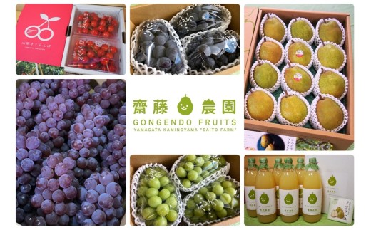 【定期便：全６回】旬の特選フルーツ定期便　0037-2601